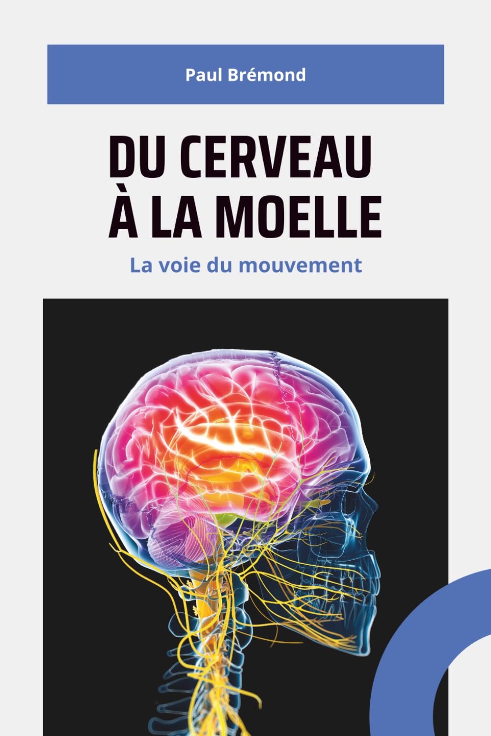 Du cerveau à la moelle: La voie du mouvement