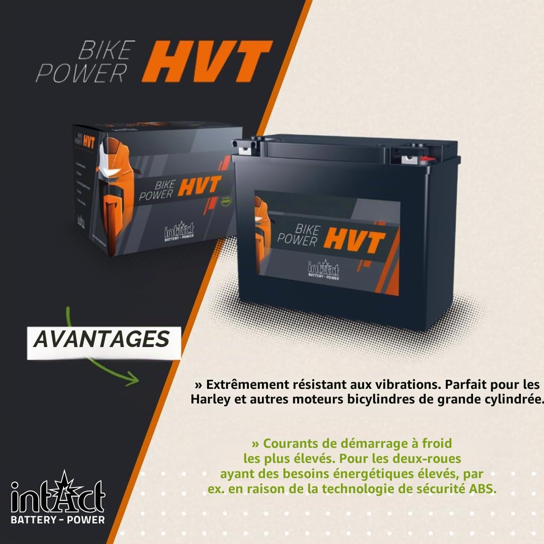 intAct - Batterie de moto HVT | Batterie pour moto, tracteur de pelouse. Batterie sans entretien et anti-fuite. | HVT-03, CTX14L-BS, 65958-04A, batterie 12 V, 14 Ah (c20), 250 A (EN) | Dimensions :