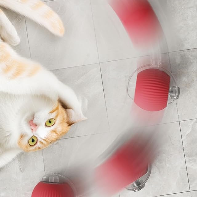 Foto 4 de 6 de Mimi Juguete Gatos,Interactive Cat Toy Ball,Cat Toys,Pet Smart Rolling Ball,Electric Cat Toy…