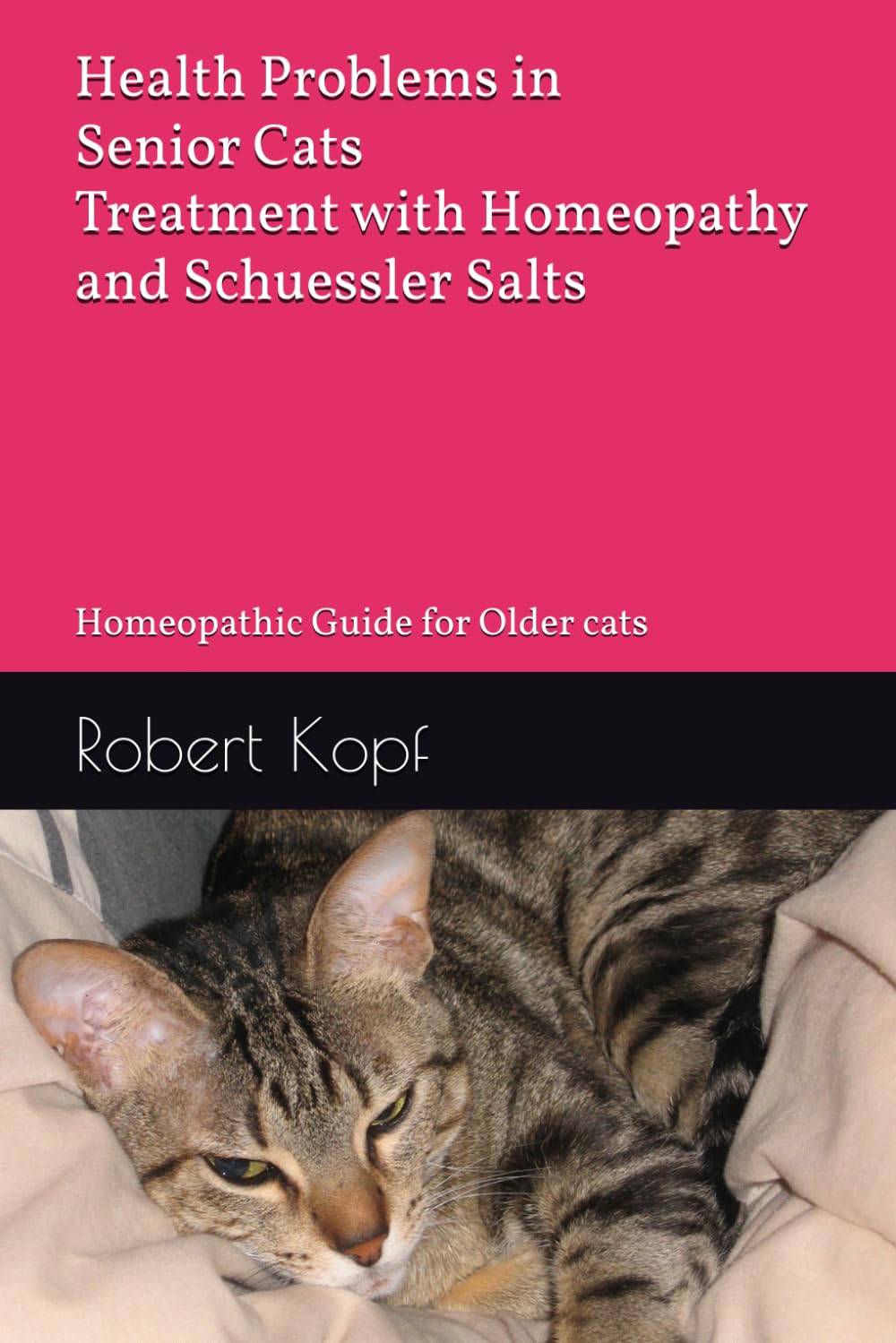 Health Problems in Senior Cats - Treatment with Homeopathy and Schuessler Salts: Homeopathic Guide for Older cats