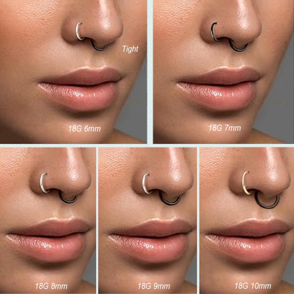 5pcs Hypoallergenic Nose Rings Hoops for Women Men 16G/18G/20G 316L Surgical Steel Hinged Clicker Segment for Nostril Septum Helix Cartilage Daith Tragus Conch Rook Lip Ear Lobe Earrings - Image 5