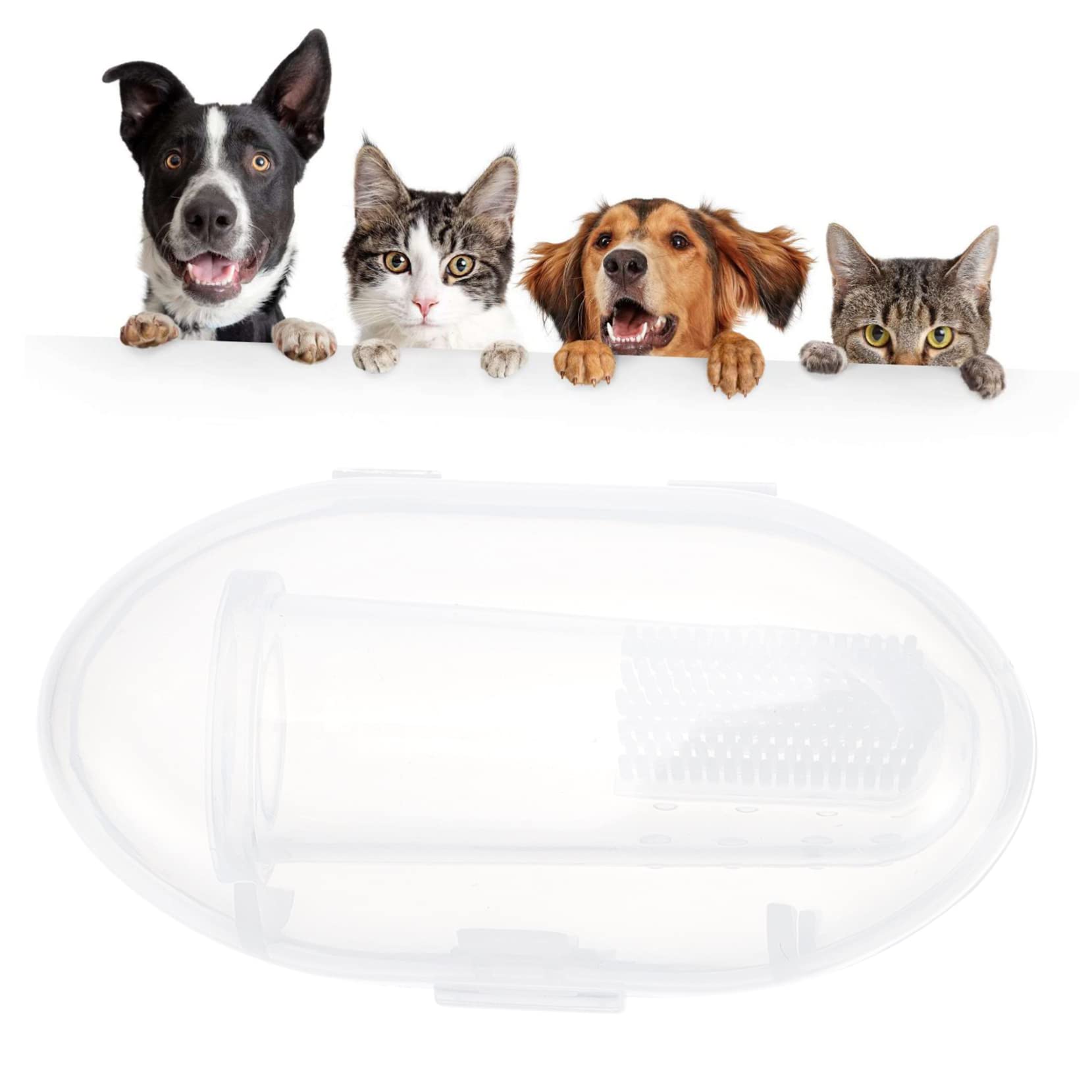 COLLBATH 30sätze Teiliges -fingerzahnbürsten Für Haustiere Sanfte Zahnreinigung Und Zahnfleischmassage Für Hunde Und Katzen Praktische Aufbewahrung Im Transparenten Behälter