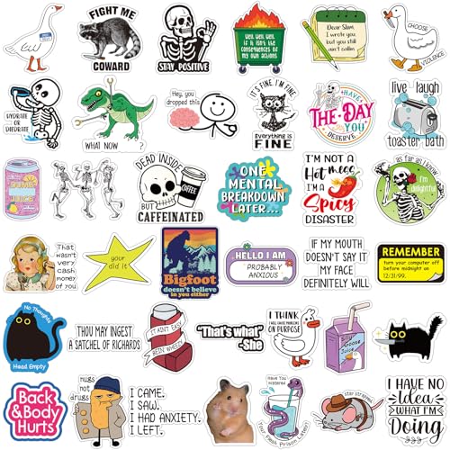Chivertion 400 Pcs Stickers for Adults Waterproof Water Bottles Stickers Pack for Laptop, Bumper, Phone, Hard Hats, Wall, Window Decals Decors, 50 Styles