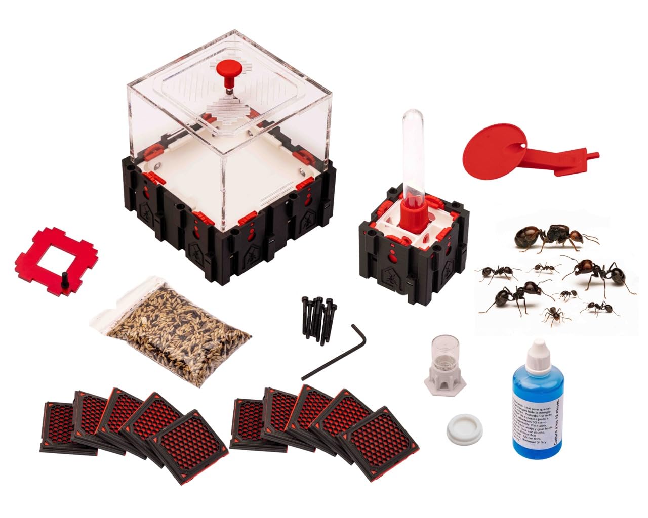 Anthouse Qbik Quadra Starter Kit, Hormiguero Modular para Hormigas con Galerías Medianas y Caja de Forrajeo Quadra, Kit Avanzado