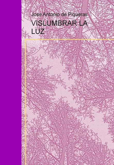 Portada de Vislumbrar la Luz