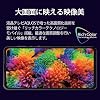 SHARP SIM-Free Smartphone AQUOS Sense 4 Plus, Purple