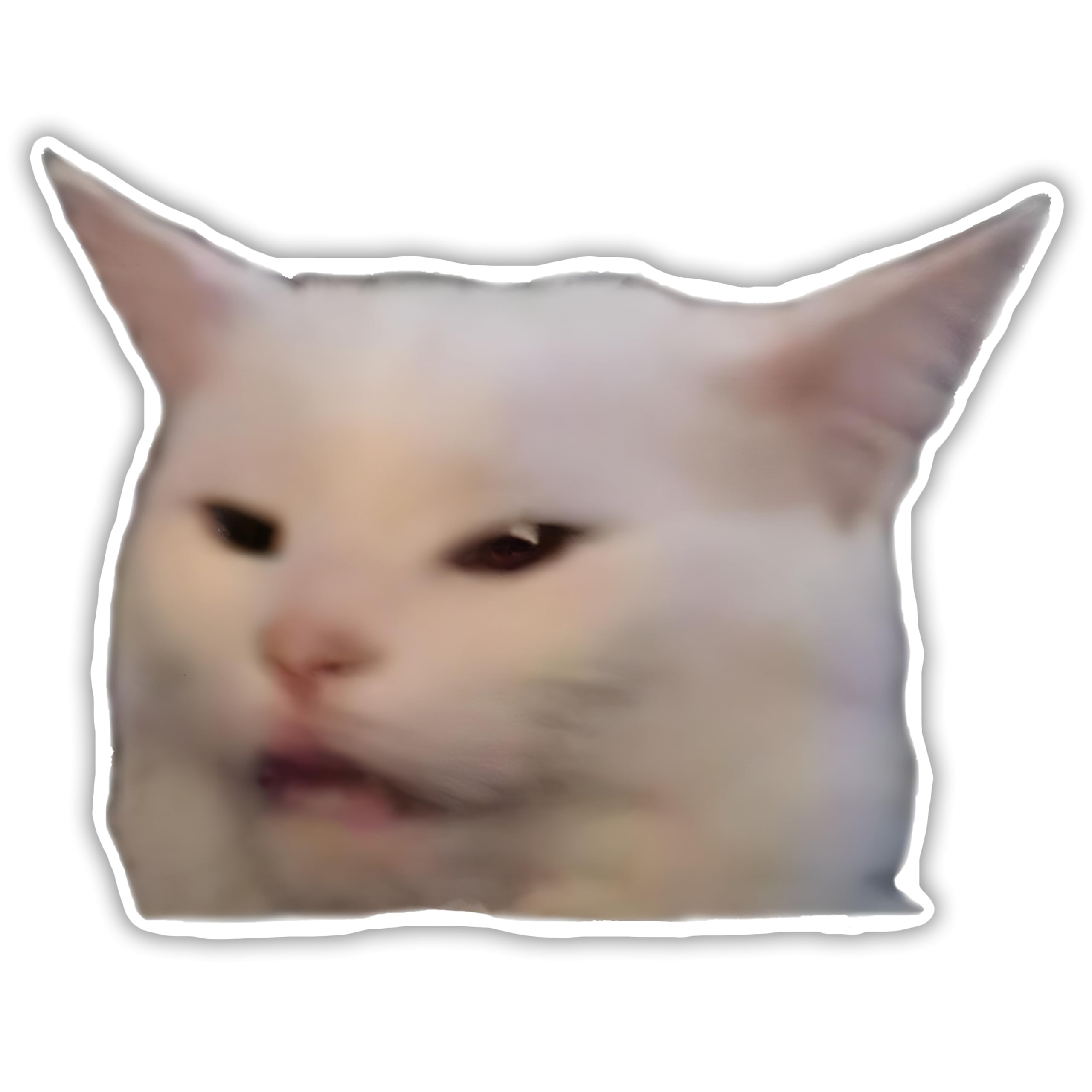 WSQ Smudge The Cat Meme Sticker Decal Vinyl Bumper Sticker Decal Waterproof 5"