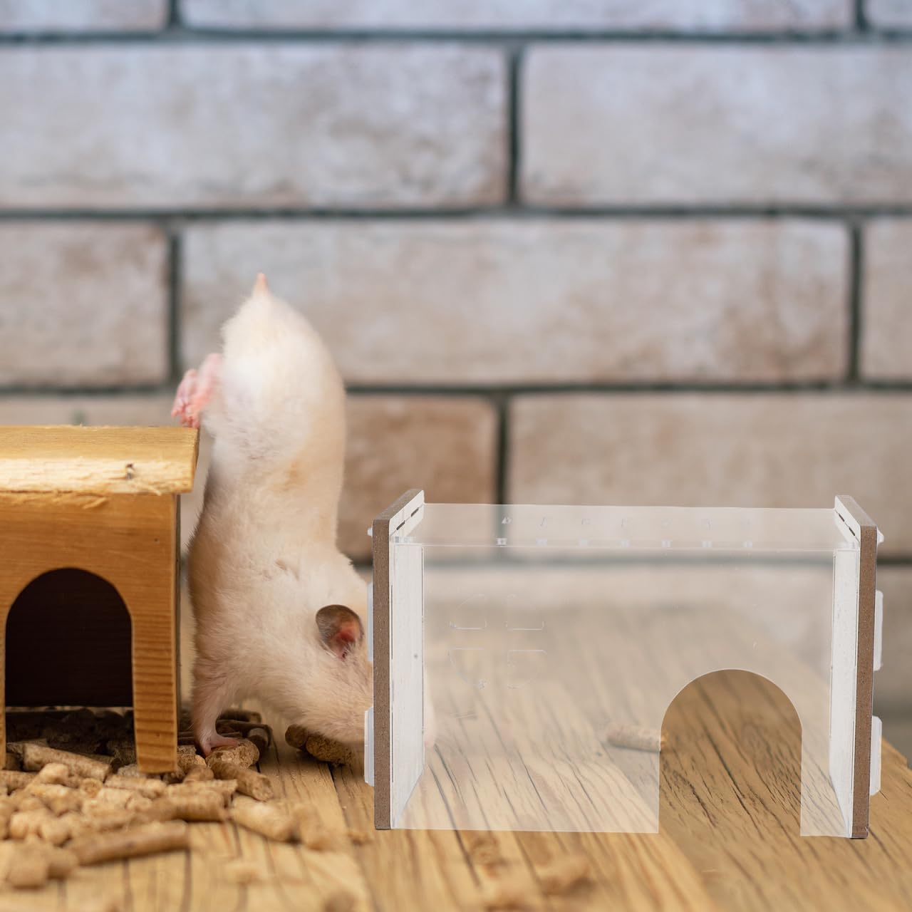 BESPORTBLE Clear Hamster Hideaway Shelter Small Indoor Hamster House & Chinchilla Hut Decorative Transparent Nest for Small Animals for Hamster Hiding & Resting - Image 3