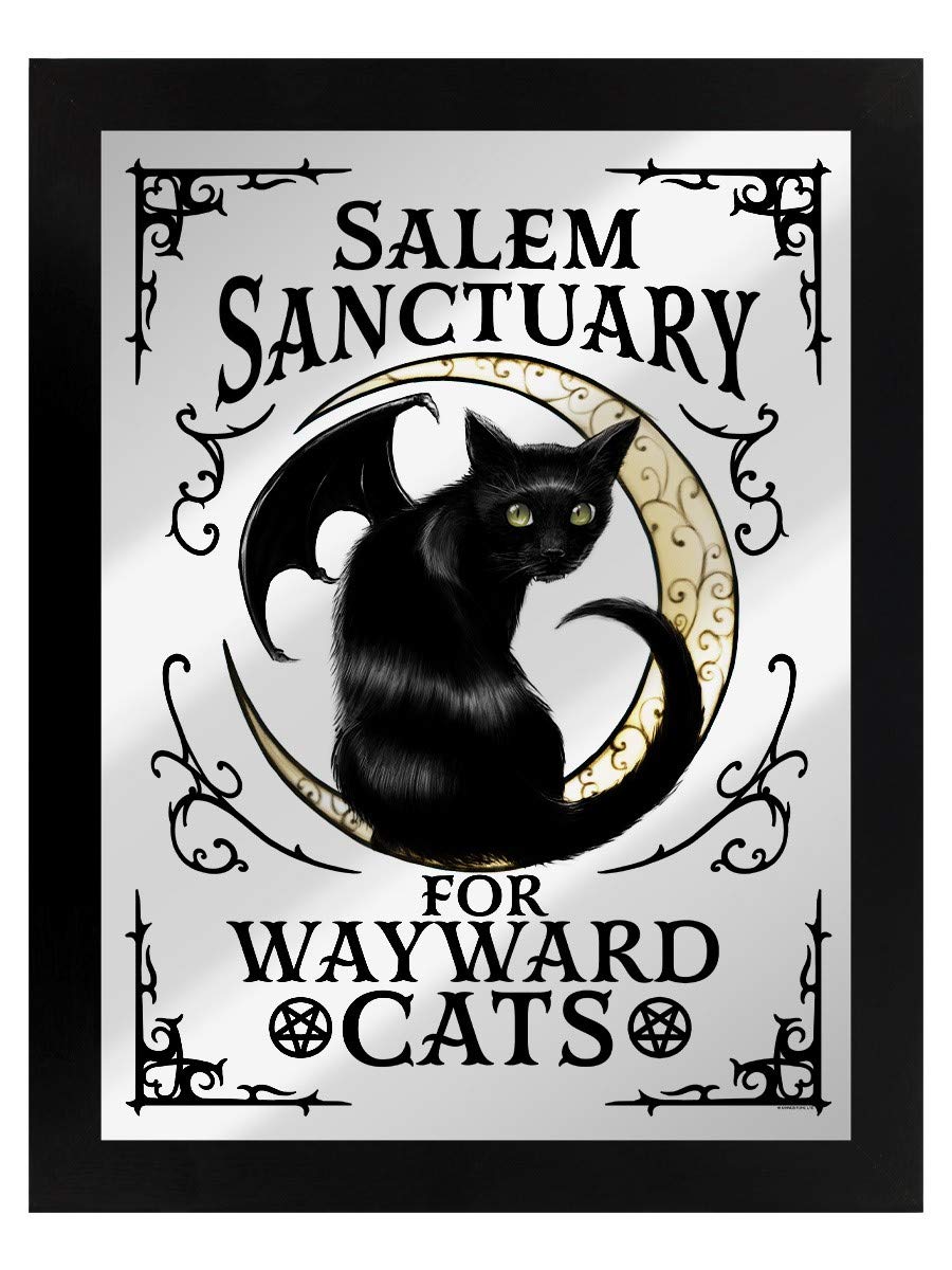 Grindstore Nc Salem Sanctuary For Wayward Cats Mirrored Tin Sign Black 35X45cm