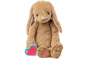 Recordable Stuffed Animals