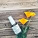 NuGlow Copper Peptide Serum with MD3 Copper and Antioxidants