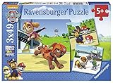 ¡Para 5 años o más! Ravensburger - Puzzle 3 x 49, Paw Patrol B (09239)
