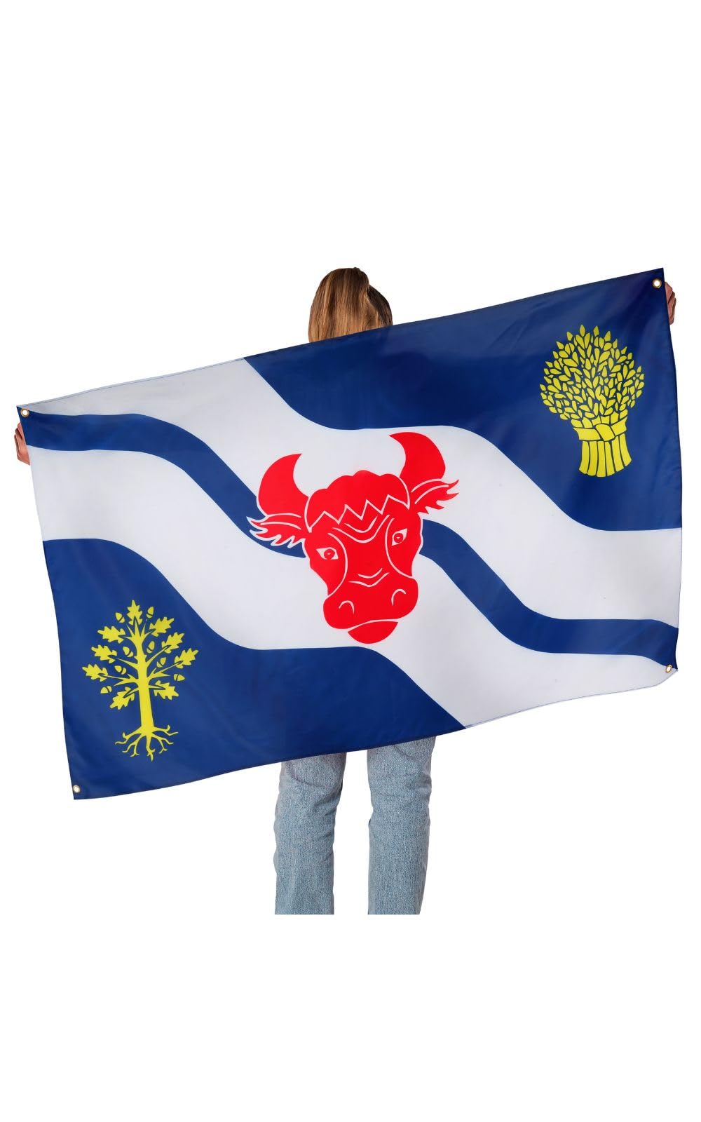 Runesol Oxfordshire Flag, 91x152cm, 3ft x 5ft, 4 Grommets, Eyelet In Every Corner, Oxfordshire Day, Oxford - Image 2