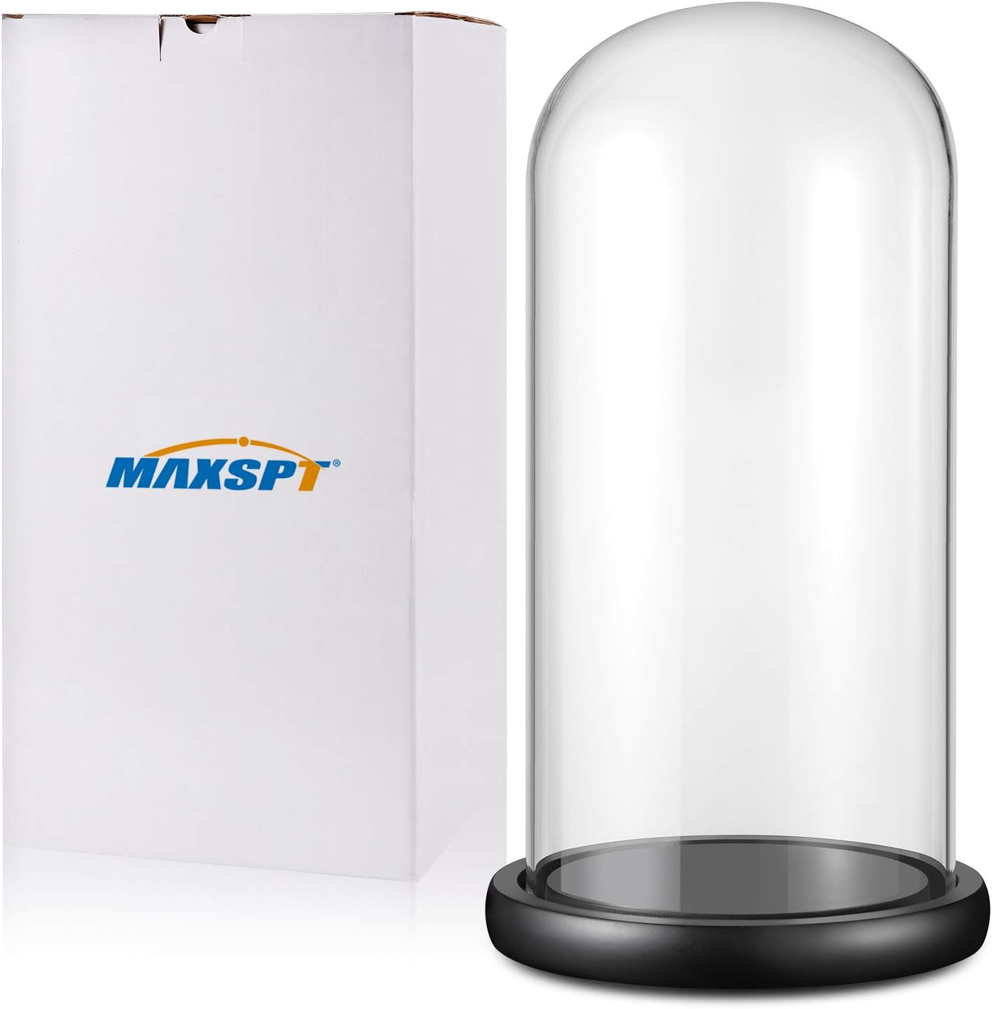 13"x 6" Glass Display Dome Cloche with Black Wood Base for Gold Rose Display, Antique Collectibles,Figurine,Decorative Showcase Display