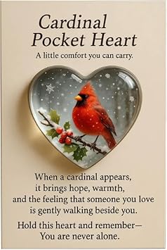 Mini Bird Pocket Heart, Hummingbird Pocket Hugs with Greeting Card, Inspirational Heart-Shaped Hummingbird Ornaments for Friends & Families
