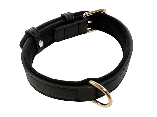 Foto 3 de 6 de Collar de perro ajustable de piel auténtica vibrante con acolchado de neopreno suave