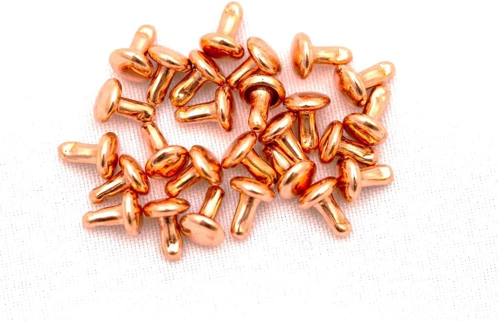 4mm, 6mm, 8mm Double Cap Rivets, Metal Button Round, Rapid Rivet, Rivet Studs for Purse Bags Handbags Shoes Belts Leather Craft DIY (50pcs) (8mm) (8x8mm, Silver)