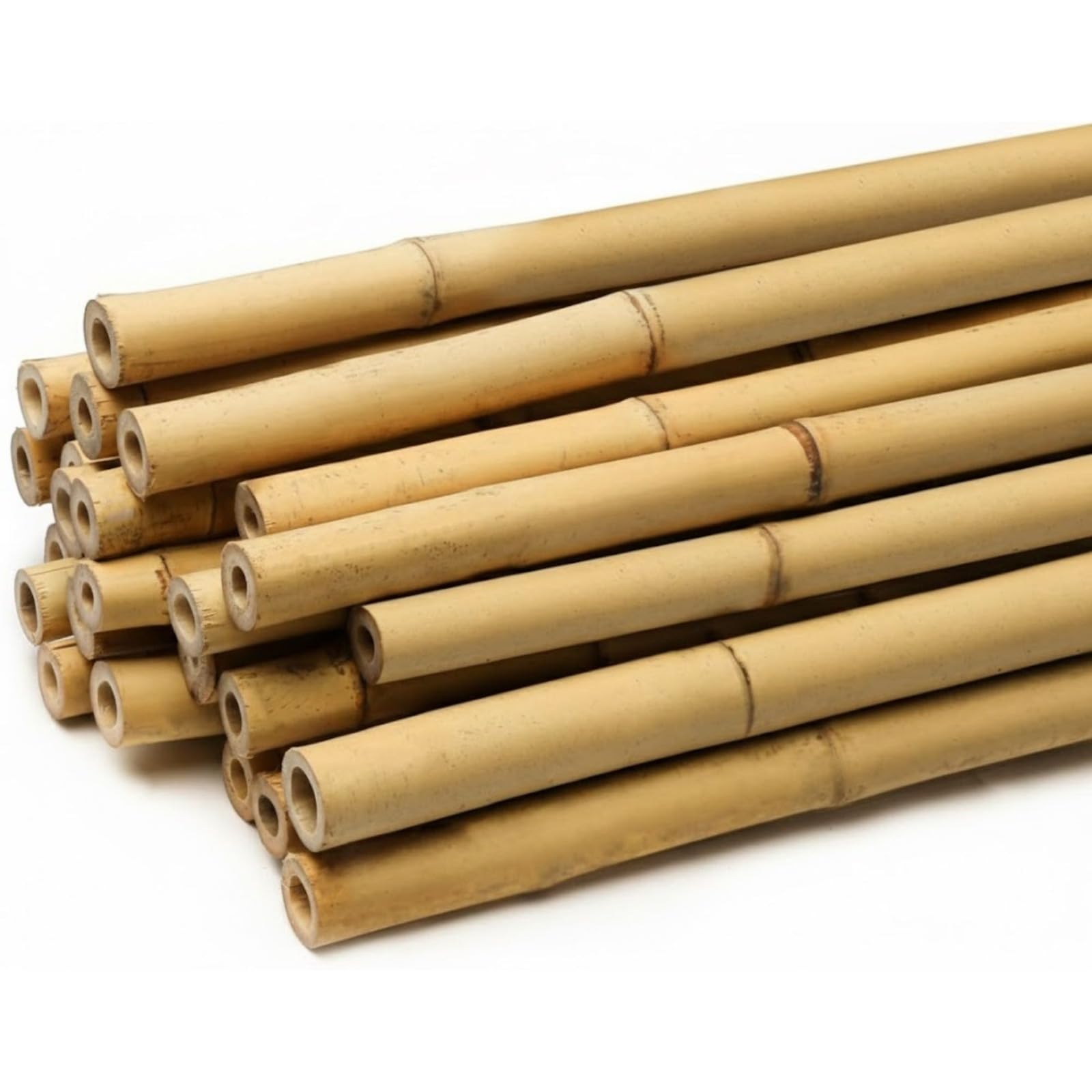 Bamboo Canes for Plants, Heavy Duty Natural Garden Stakes, Strong Plant Support Sticks for Tomatoes, Beans, Flowers and Climbing Plants, Thick Bamboo Poles 2FT TO 4FT (30, 2FT)