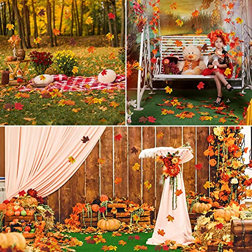 Turnmeon 1200 Pcs Fall Artificial Maple Leaves Thanksgiving Decorations 6 Mix Colors Fake Faux Autumn Leaf For Festival Fall Harvest Home Decoration Indoor Outdoor Wedding Party Table Halloween Decor #TOP5
