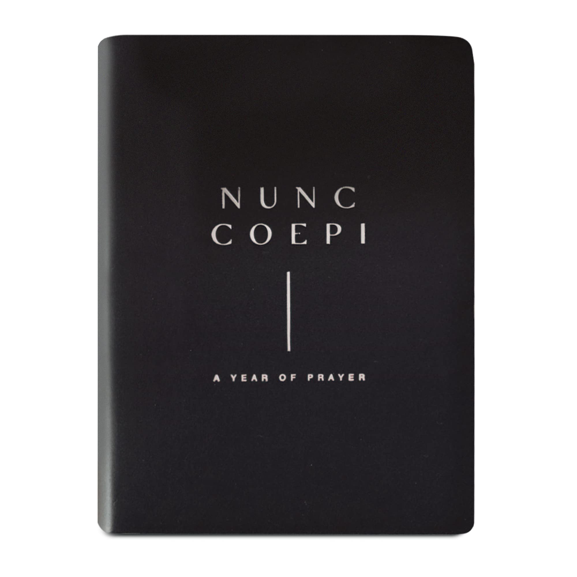 Blessed is She- Nunc Coepi Catholic Prayer Book- Daily Prayer Journal for All Occasions, 12 Month Prayer Guide Journal, Catholic Living & Thanksgiving, Devotional Through Scripture, Weekly Reflection Leather Bound – January 1, 2021