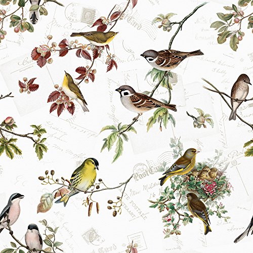 20 Servietten Heimische Vogelarten/Vögel/Tiere/Tiermotiv/Frühling 33x33cm Cover