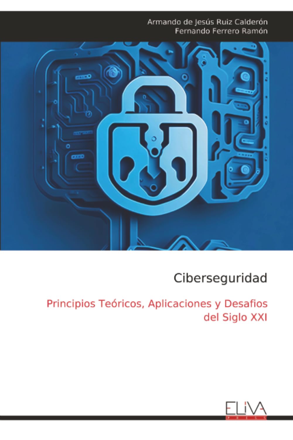Ciberseguridad: Principios Teóricos, Aplicaciones y Desafios del Siglo XXI