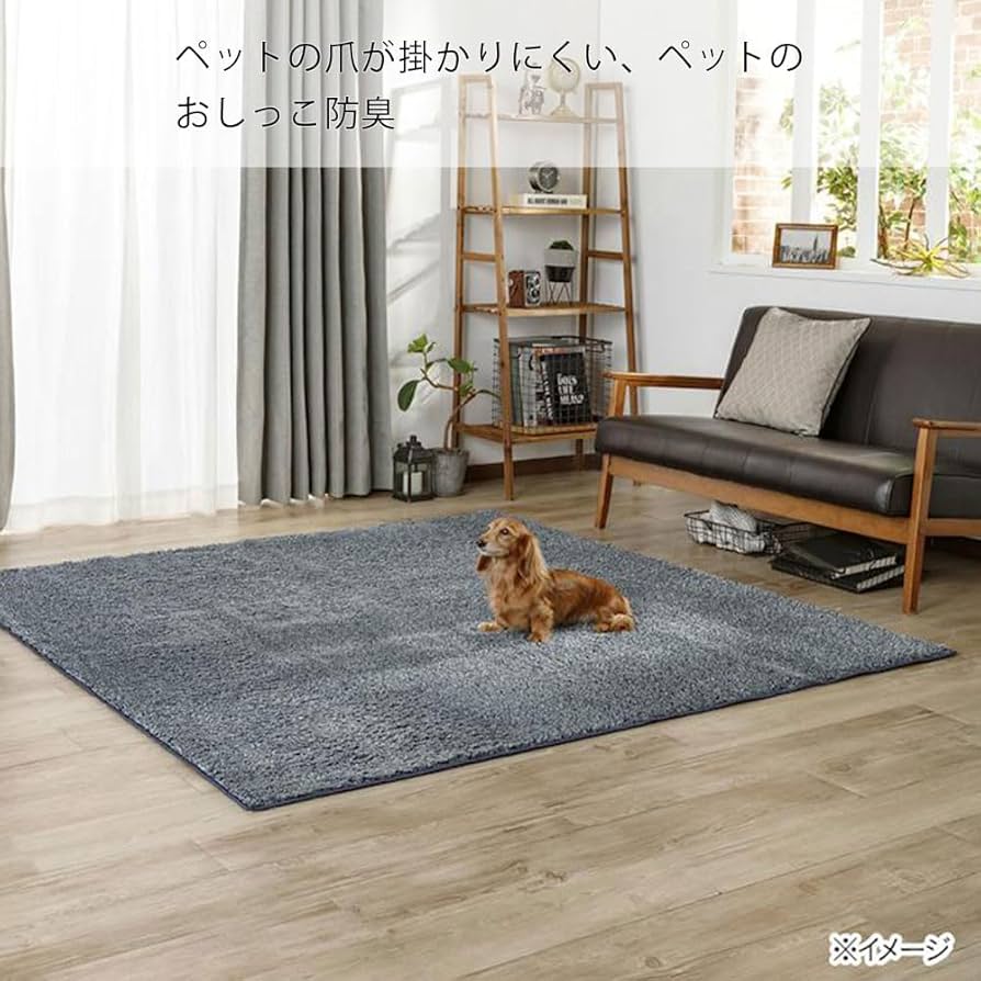 Amazon｜カインズ(CAINZ) 洗えるシャギーラグ 幅185cm 奥行185cm