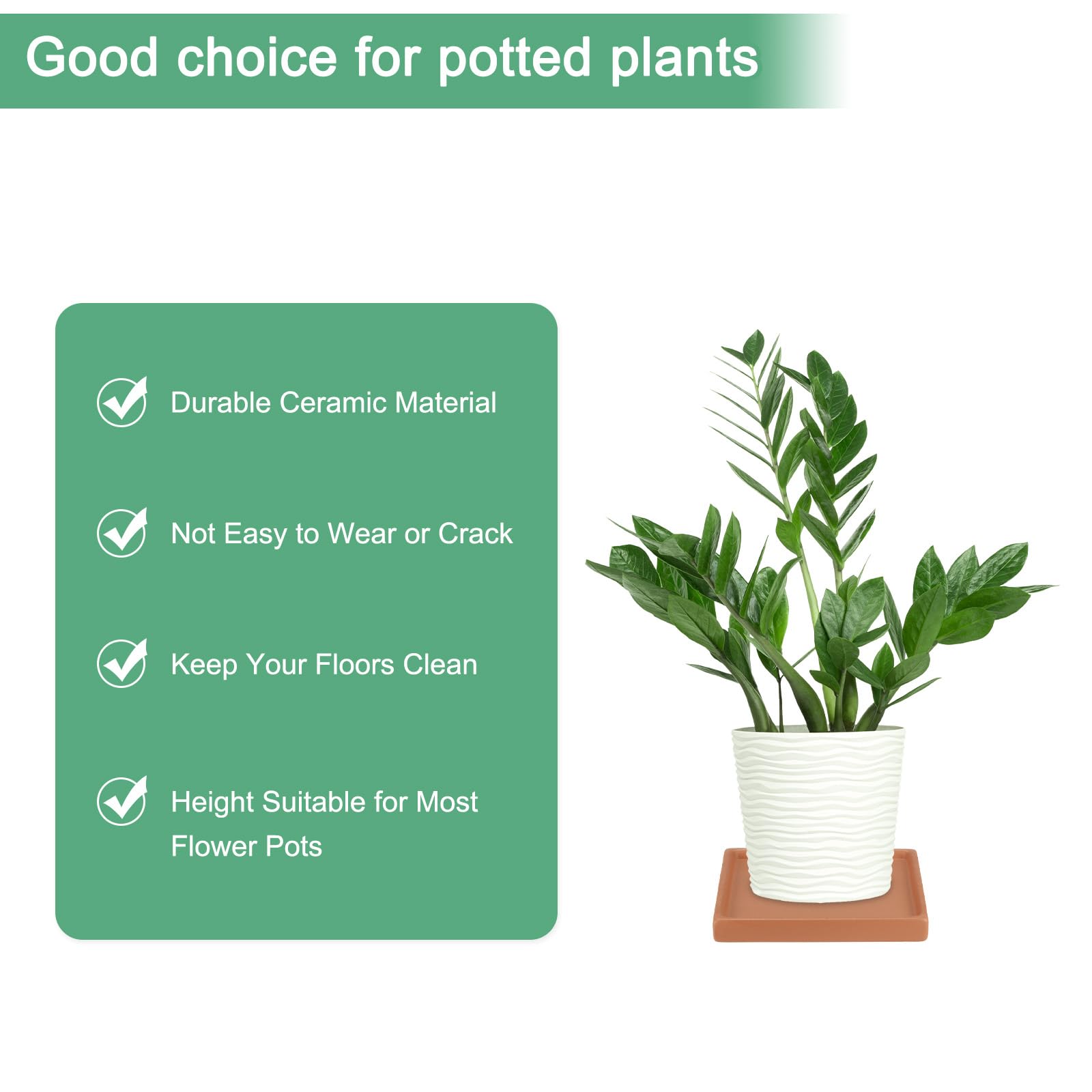 M METERXITY 2-Pack Ceramic Plant Saucer, 5 Inch Plant Water Catcher Tray - Image 3