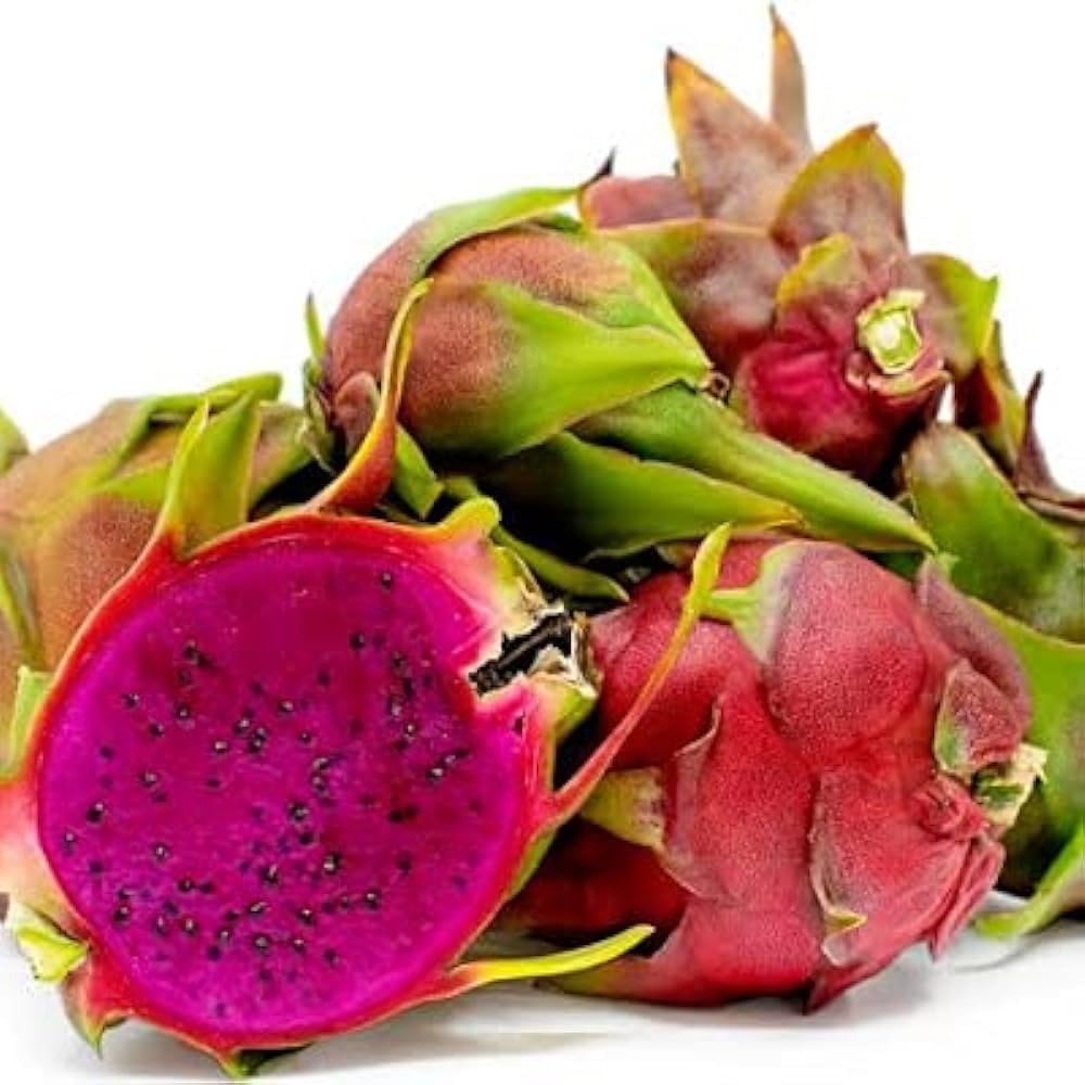 Royal Paradise Garden Dragon Fruit Live Fruit Plant, Healthy (AMERICAN BEAUTY) (B0D8G6NKP6) Amazon Price History, Amazon Price Tracker