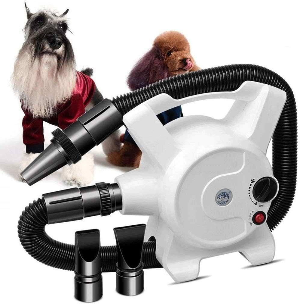 dog blaster amazon