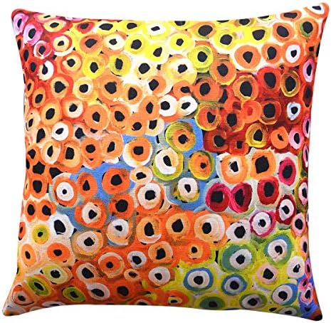 bright cushions amazon