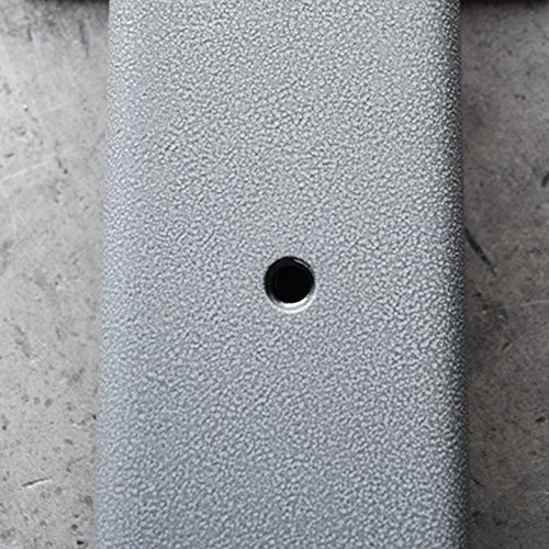 Baxtran - Bilancia per bestiame e pallet (3000 Kgx1 Kg) (125 cm) Grigia con Piedini in Acciaio e ABS