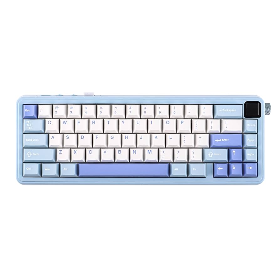 Amazon.com: EPOMAKER HE65 MEC Wireless Mechanical Keyboard