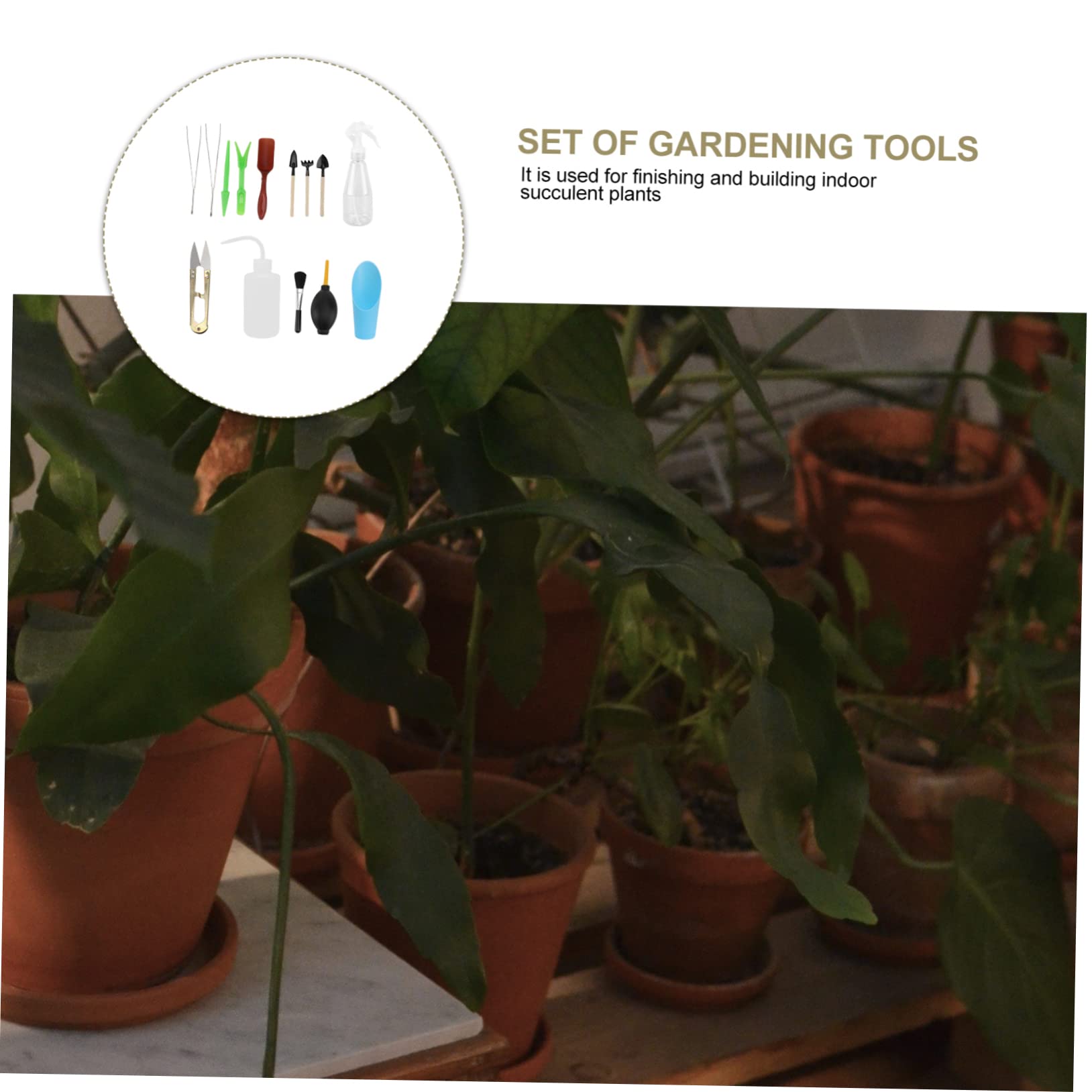 Toddmomy 3 Set Utensili Giardinaggio Materiale Durevole Attrezzi per Piantare Trapiantare Zappare e Irrigare Piante per Bonsai Piante Vaso e Cura Del Giardino
