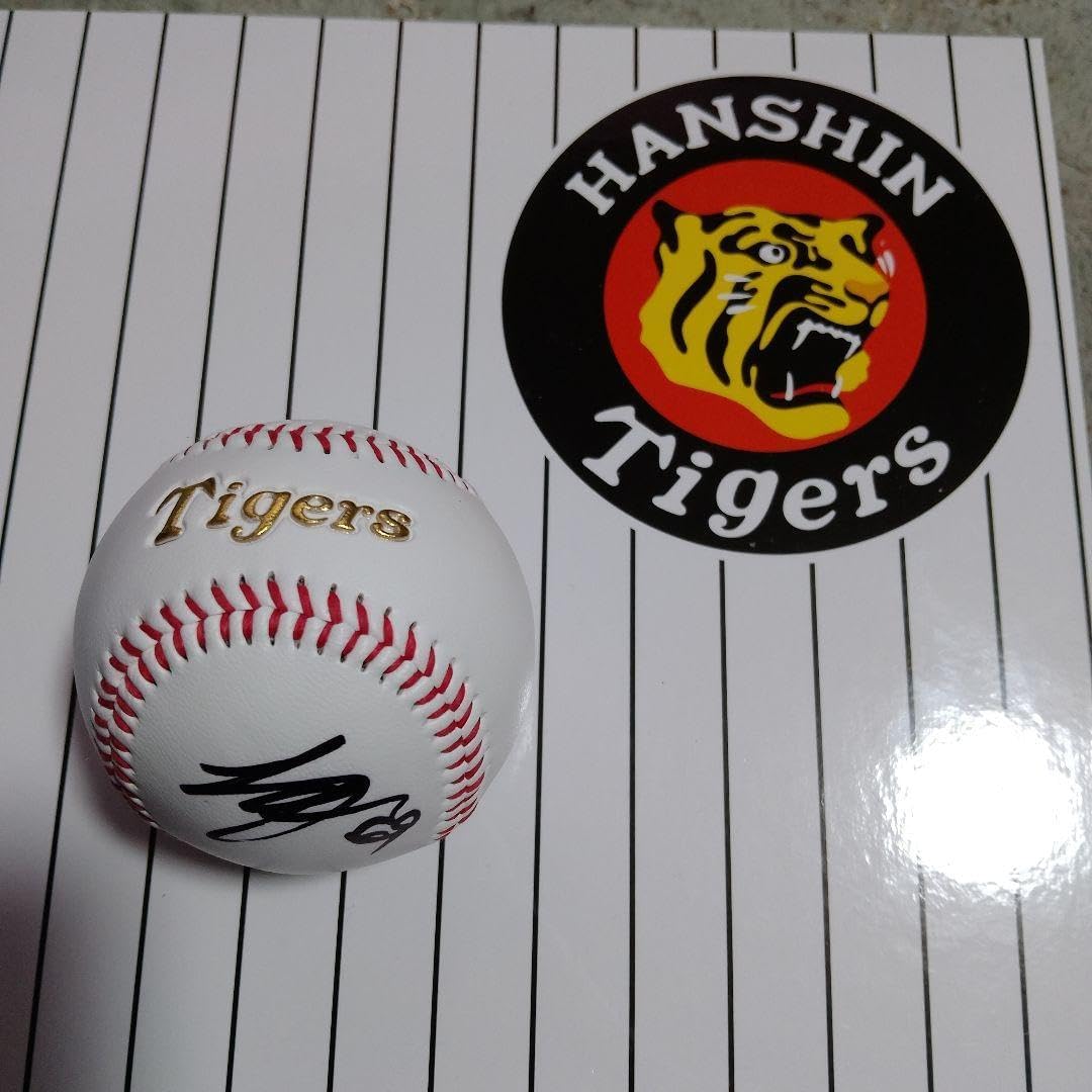 プロ野球　直筆サインボール投げ入れ用ボール　新垣選手ソフトバンクダイエーホークス プロ野球 直筆サインボール投げ入れ用ボール 新垣選手