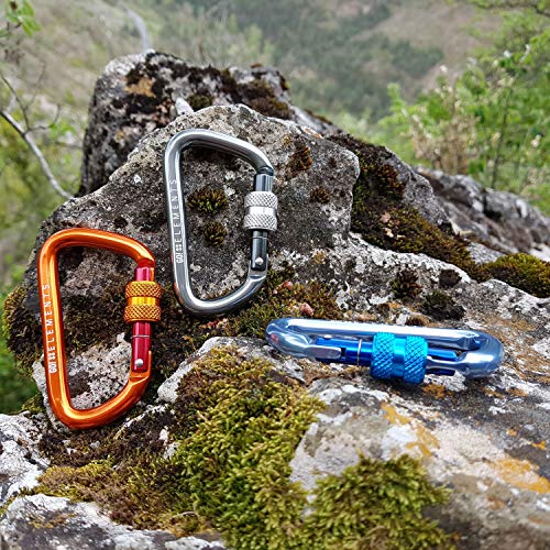 GO!elements 1200kg breaking load carabiner Strong 8 with screw cap in pack of 2 or 6 in Max. 12kN !, Color:WAVE