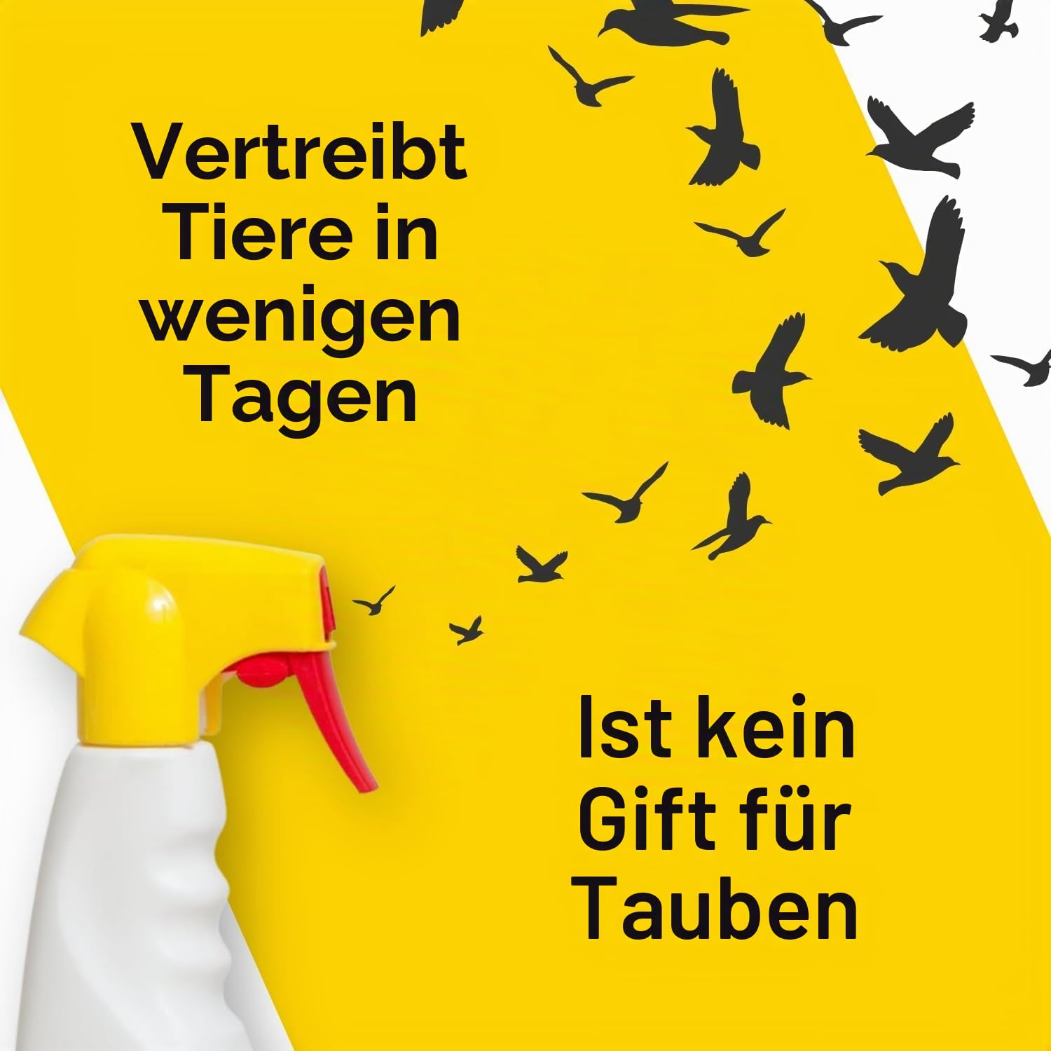 Altea Taubenabwehr, Taubenabwehr, langanhaltender Taubenabwehr, nicht schädlich für Mensch und Haustier, vertreibt Tauben und Möwen, gebrauchsfertiges Spray, 750 ml