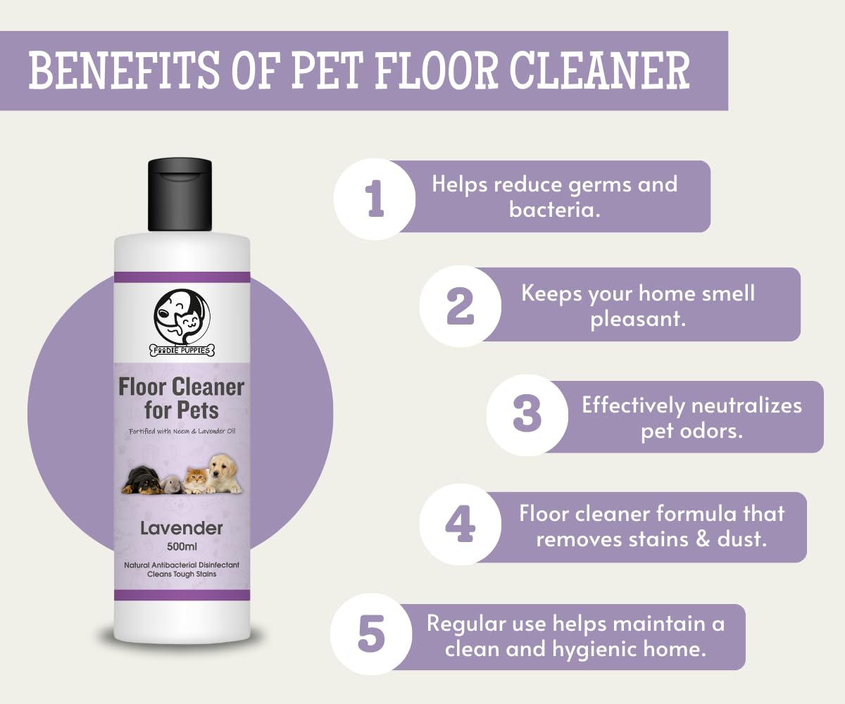 Foodie Puppies Floor Cleaner for Pets - 500ml, Lavender Fragrance | Anti Bacterial Urine Free Odour and Stain Remover | Non-Toxic & Pet Friendly | Wood, Carpet, Tile & Marble Cleaner