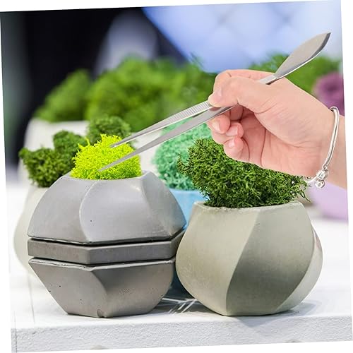 Miniatura 3 de Happyyami 4 Pcs Bonsai Forceps Crafting Tweezers Aquarium Plant Tools Metal Container Bonsai Tree Tools Bonsai Soil Loosening Tool Straight Tweezers