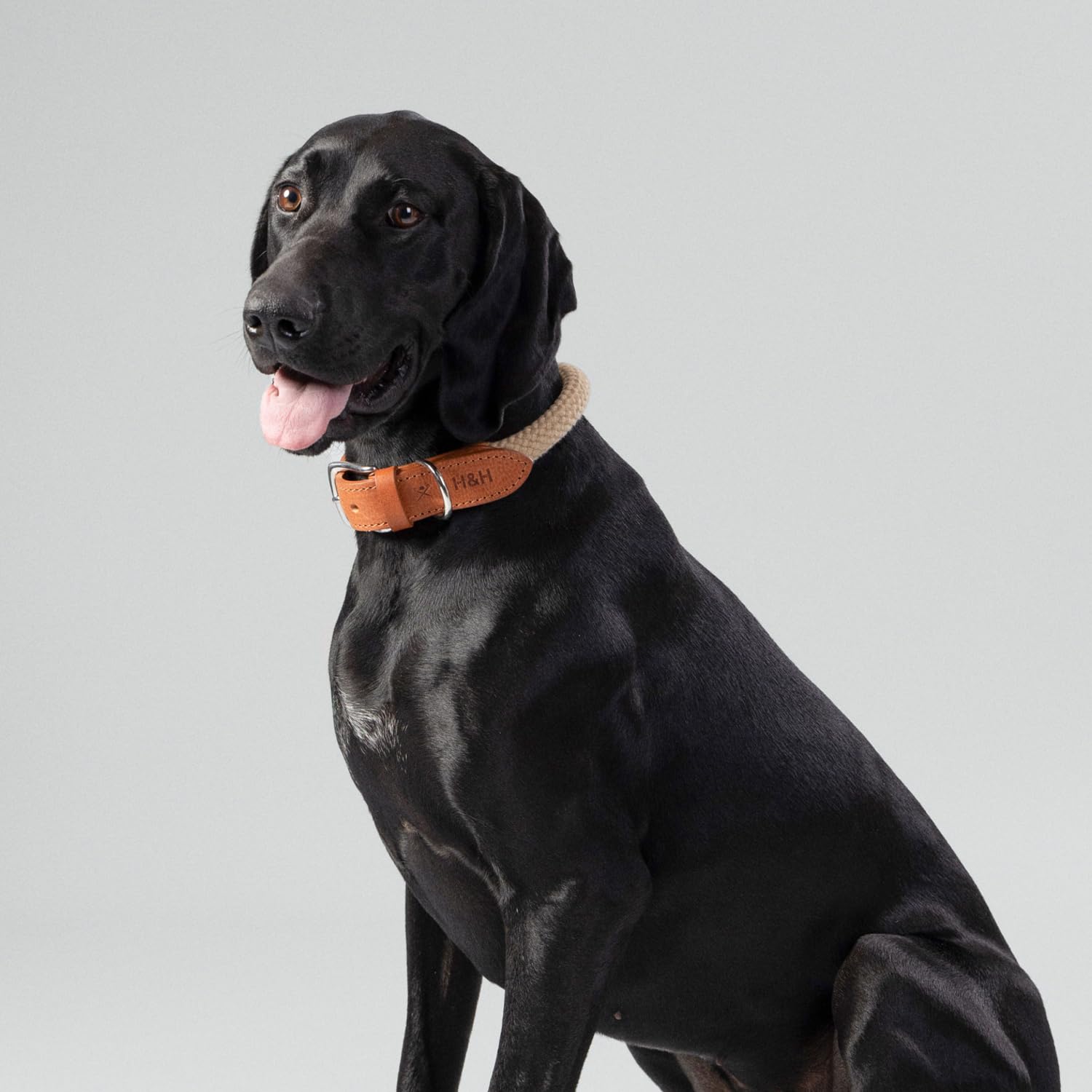 HUGO & HUDSON x Hackett - Collar de Cuerda para Perro con Cuero coñac con Hebilla de Metal Ajustable, Color Natural, S