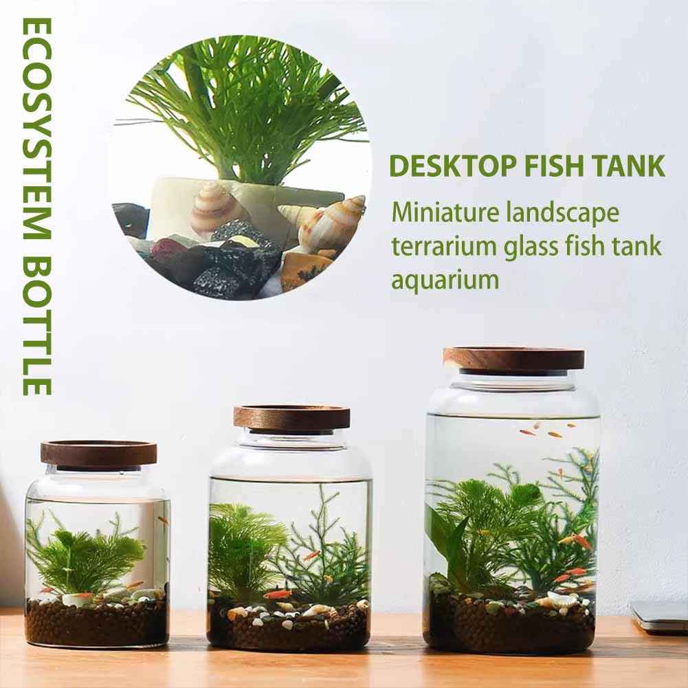 Juego de pecera de cristal, acuario en miniatura con planta hidropónica, ideal para peces betta, peces dorados, peces pequeños o camarones