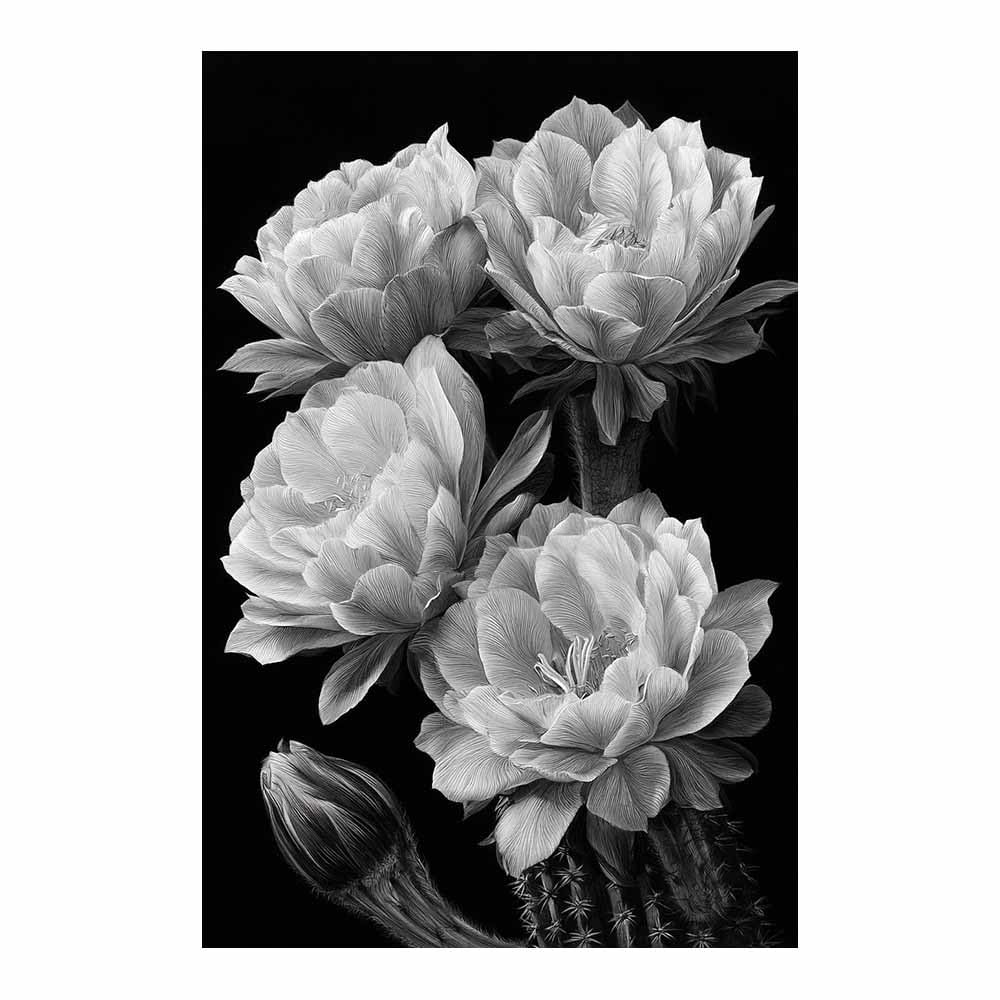 HOQIU Black And White Canvas Wall Art Monochrome Cactus Flowers canvas wall art, decorative paintings, for Bedroom Living Room Bathroom Office Home Decoration(Multicolor)-80x120cm Unframed