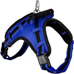 Coleira com Regulagem e Guia Peitoral Cachorro Grande Guia Doberman Pitbull Anti Puxão coleira cachorro peitoral para cachorros (AZUL,P)