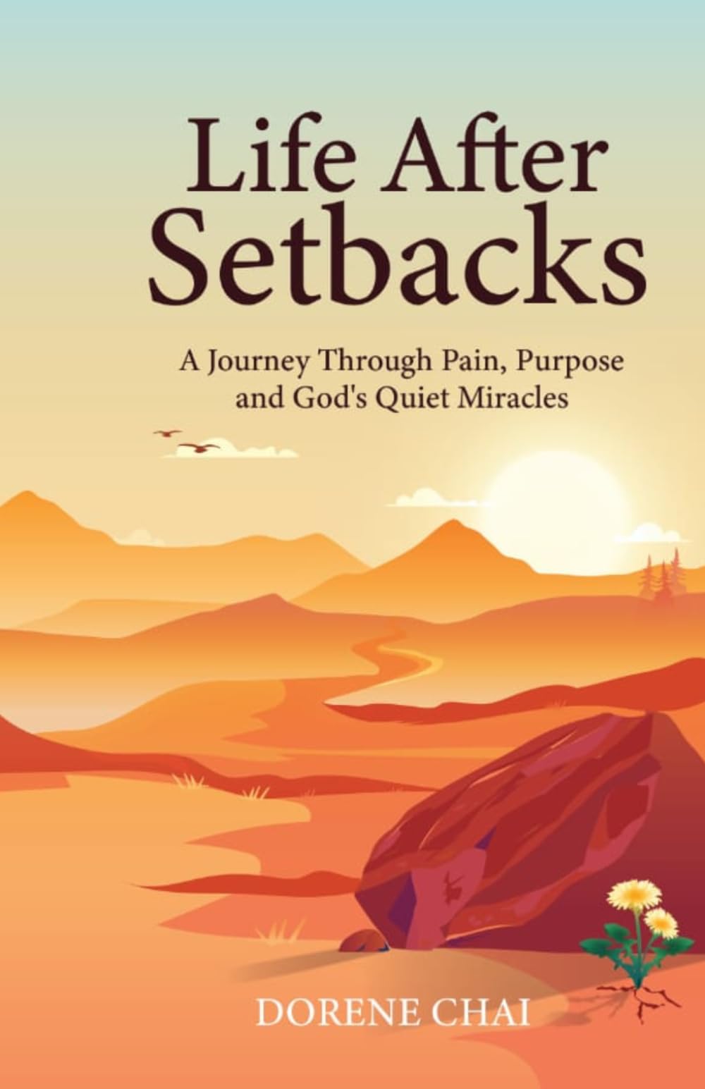 Life After Setbacks: A Journey Through Pain, Purpose and God's Quiet Miracles