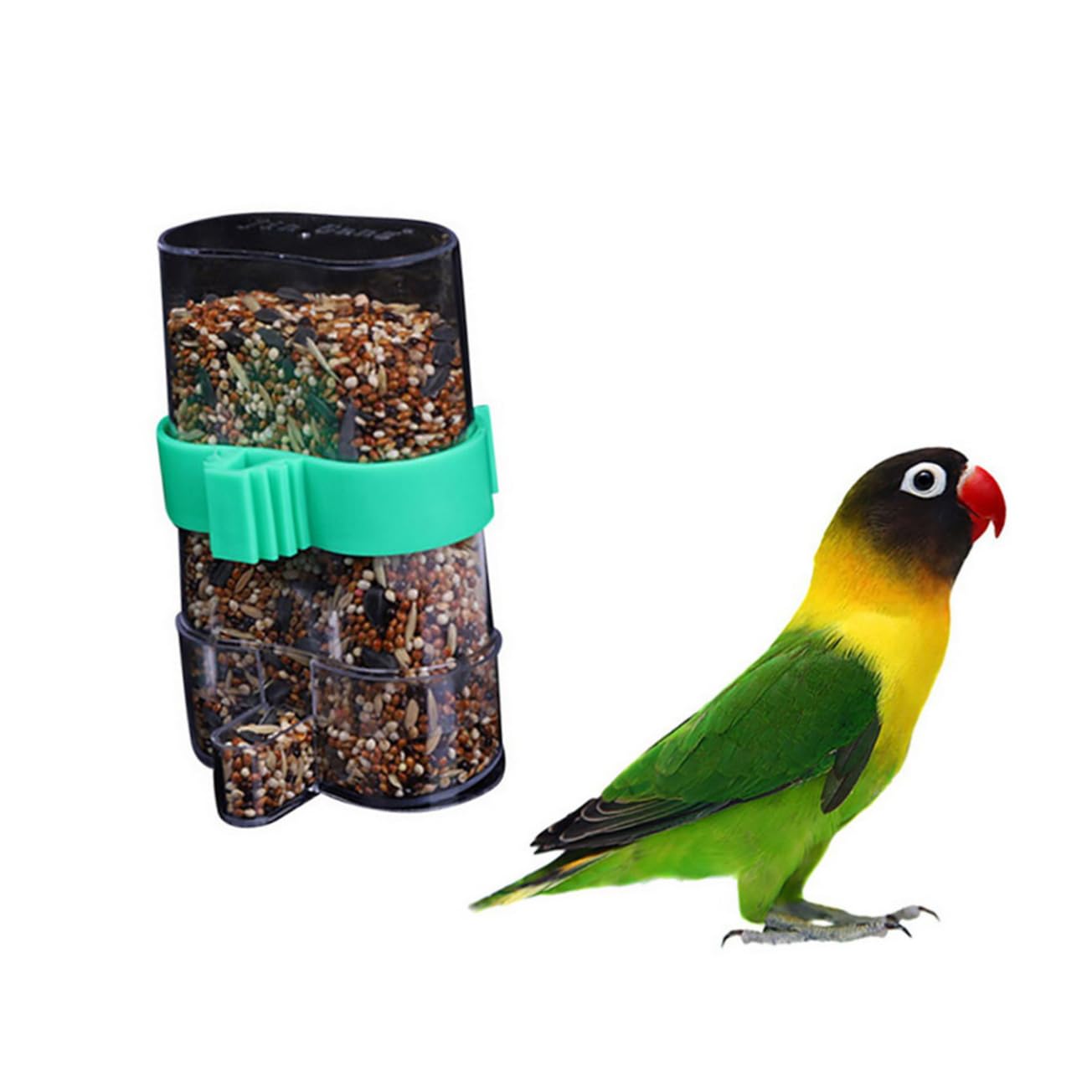 Yardwe 3 Set Di Mangiatoie Automatiche Per Uccelli Bottiglie Di Plastica Per Bere Per Pappagalli Parrocchetti Calopsitte Design Semplice 2 Pezzi * 3