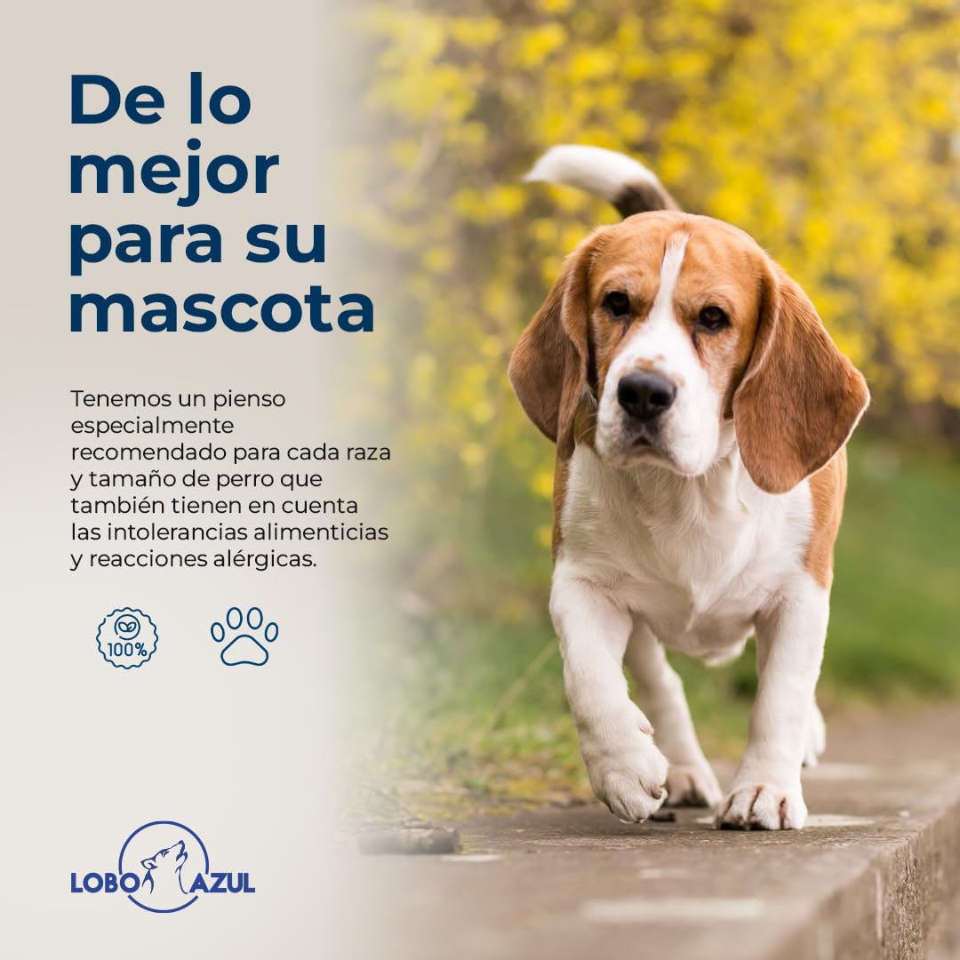 Pienso Light - Pienso para Perros Esterilizados Adultos - Light con Control de Peso - Alimento Completo Sin Cereales y Bajo en Calorías - 15kg - Lobo Azul Super Premium