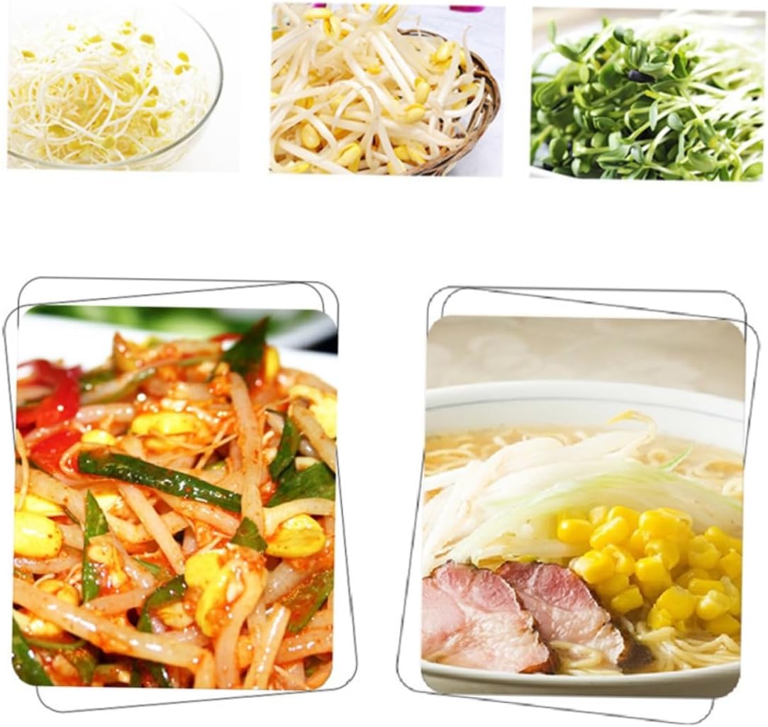 Generic Automated Sprout Grower Machine Microcomputer Controlled Double Layer Bean Sprouts System Energy Efficient