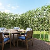 VeriNatural Fake Bamboo Plant - 180cm Tall Artificial Tree with Natural Poles & Faux Leaves, UV Resistant - Decorative Large Indoor & Outdoor Plant for Home, Office, Living Room,Garden 36PCS,VN144