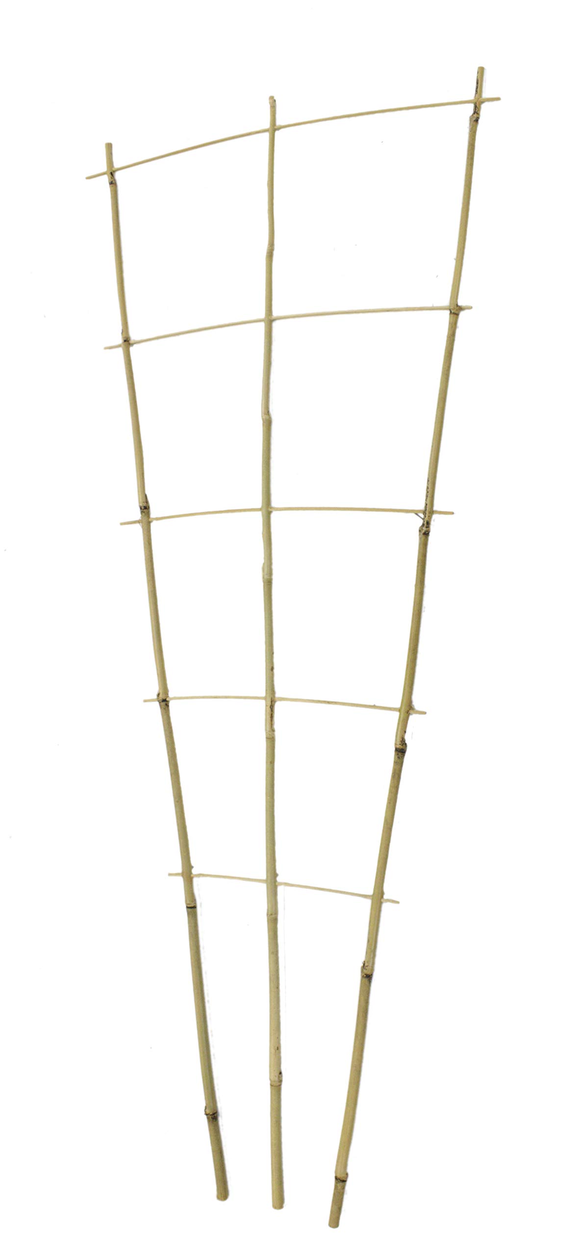 DARO DEKO Bambusrohr Rankgitter 44 x 110cm 10 Stück