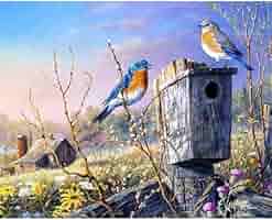 Amazon | 数字による絵画動物鳥キットアクリル絵の具キャンバス